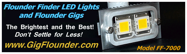 LED gigging light FF-7000