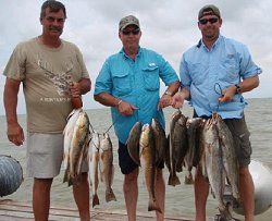 Sea Spray Charters